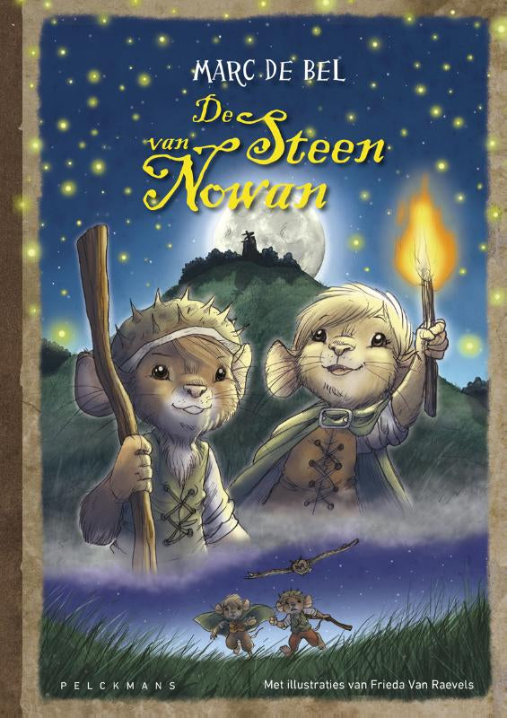 De-steen-van-Nowan-boek-cover-9789461313928