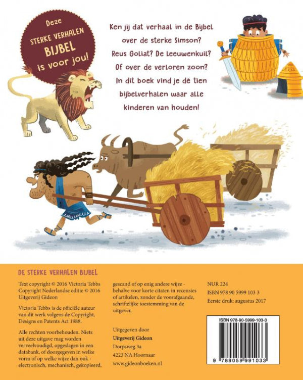 De-sterke-verhalen-Bijbel-flaptekst-9789059991033