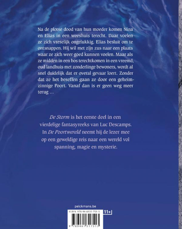 De-storm-flaptekst-9789461317513