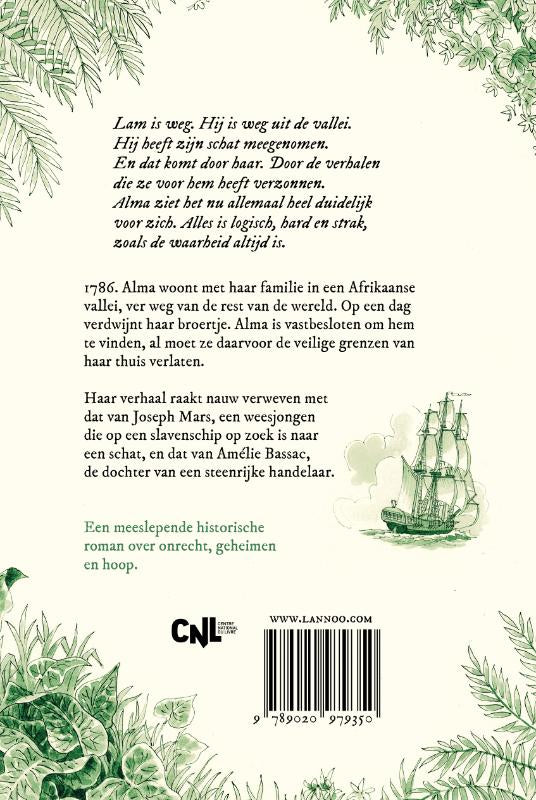 De-storm-steekt-op-flaptekst-9789020979350