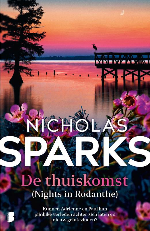 De-thuiskomst-boek-cover-9789049210083