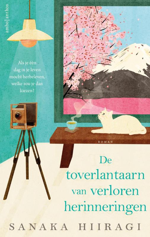 De-toverlantaarn-van-verloren-herinneringen-boek-cover-9789026370151