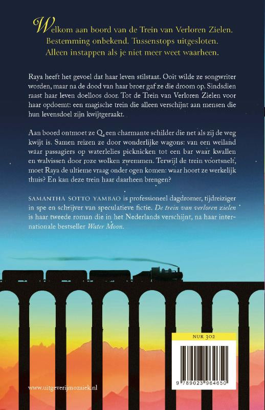 De-trein-van-verloren-zielen-flaptekst-9789023964650