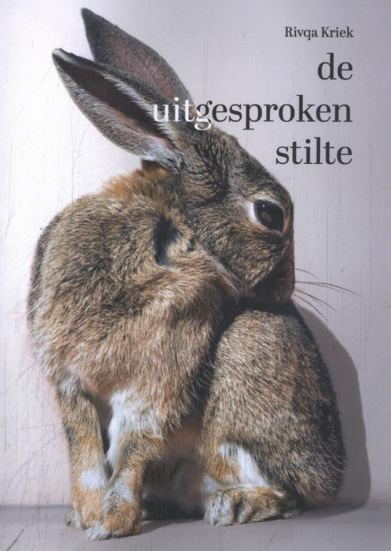 De-uitgesproken-stilte-boek-cover-9789493155237