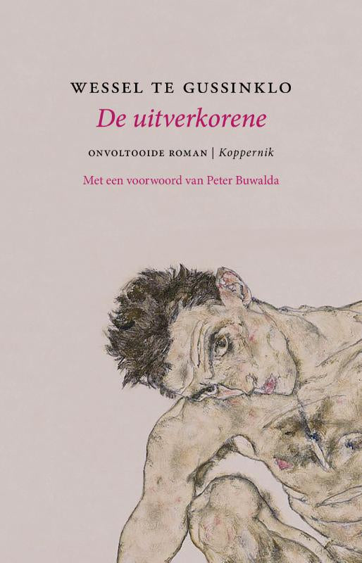 De-uitverkorene-boek-cover-9789083436173