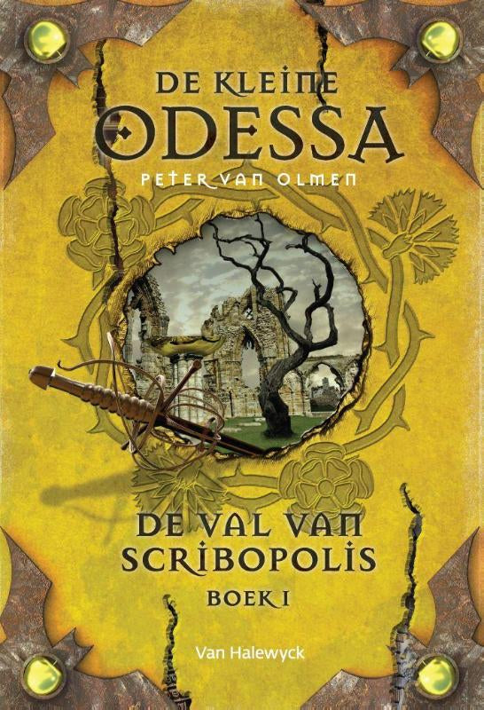 De-val-van-Scribopolis-Boek-1-boek-cover-9789461316387