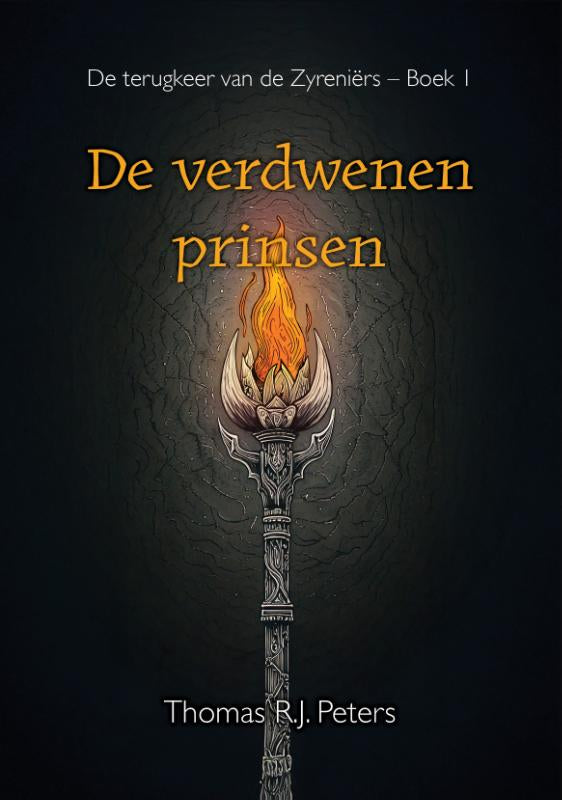 De-verdwenen-prinsen-boek-cover-9789493158801