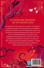 De-verdwenen-sleutel-flaptekst-9789000393909