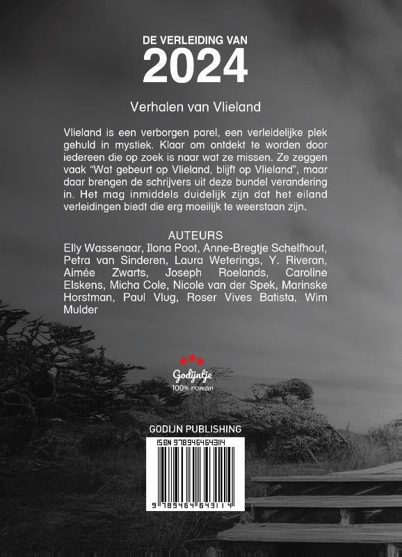 De-verleiding-van-2024-flaptekst-9789464643114