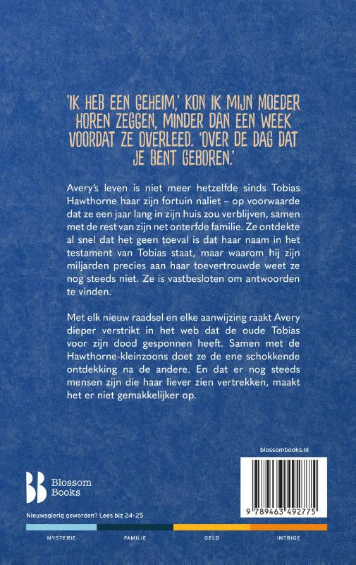 De-verloren-erfgenaam-flaptekst-9789463494090