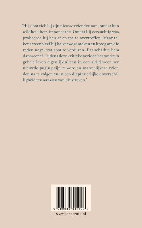 De-verwarring-van-een-jonge-Torless-flaptekst-9789083347189