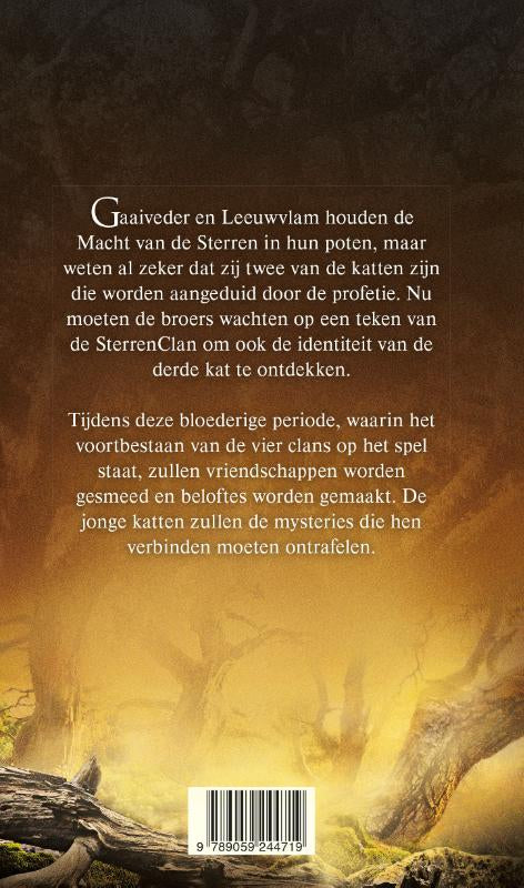De-vierde-leerling-flaptekst-9789059244719