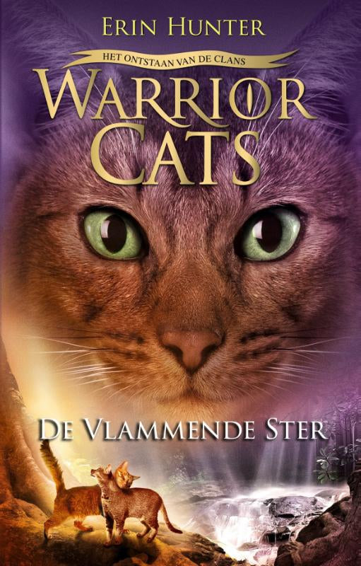 De-vlammende-ster-boek-cover-9789059249103