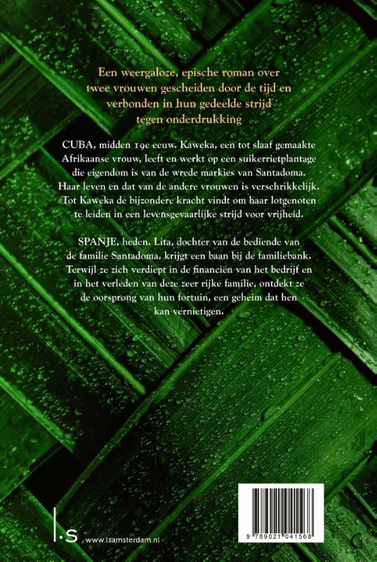 De-vrouwen-van-de-suikerrietplantage-flaptekst-9789021041568