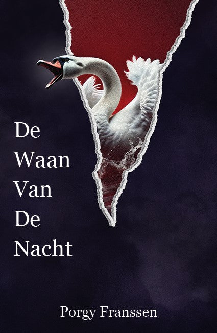 De-waan-van-de-nacht-boek-cover-9789464917185