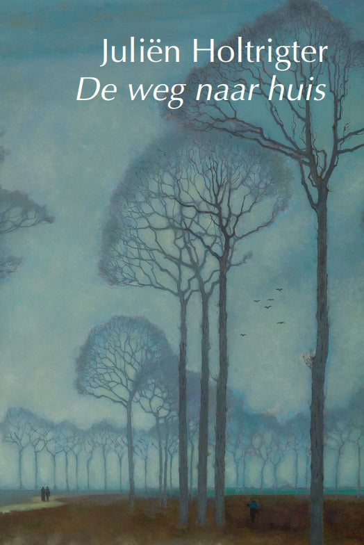 De-weg-naar-huis-boek-cover-9789463361996