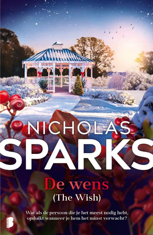 De-wens-boek-cover-9789049209582