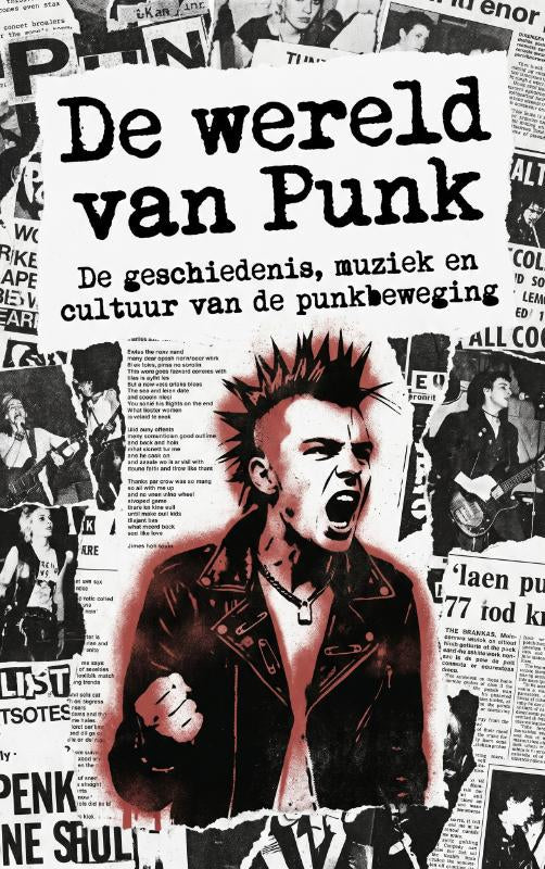 De wereld van Punk