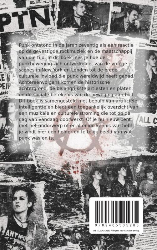 De-wereld-van-Punk-flaptekst-9789465505985