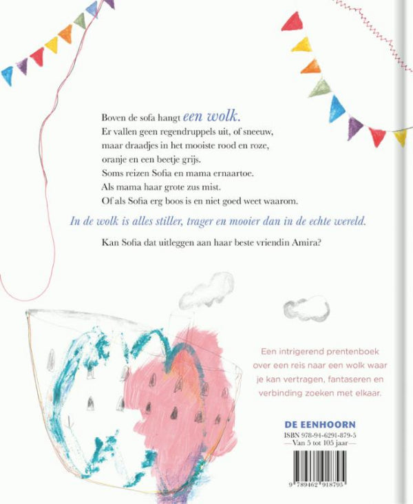 De-wolk-flaptekst-9789462918795