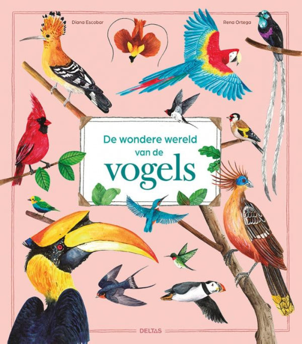 De-wondere-wereld-van-de-vogels-boek-cover-9789044770728