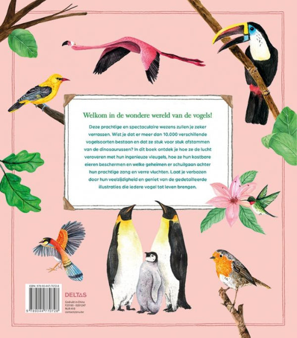 De-wondere-wereld-van-de-vogels-flaptekst-9789044770728