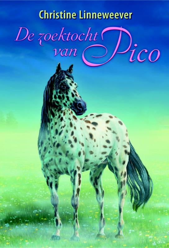 De-zoektocht-van-Pico-boek-cover-9789020622225