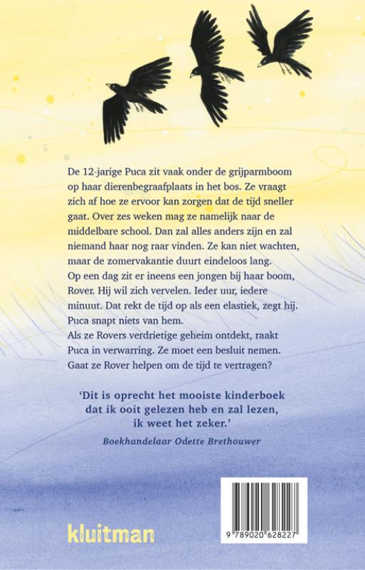 De-zomer-die-alles-was-flaptekst-9789020628227