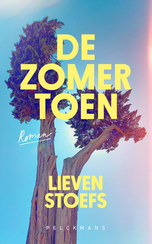 De-zomer-toen-boek-cover-9789463833783
