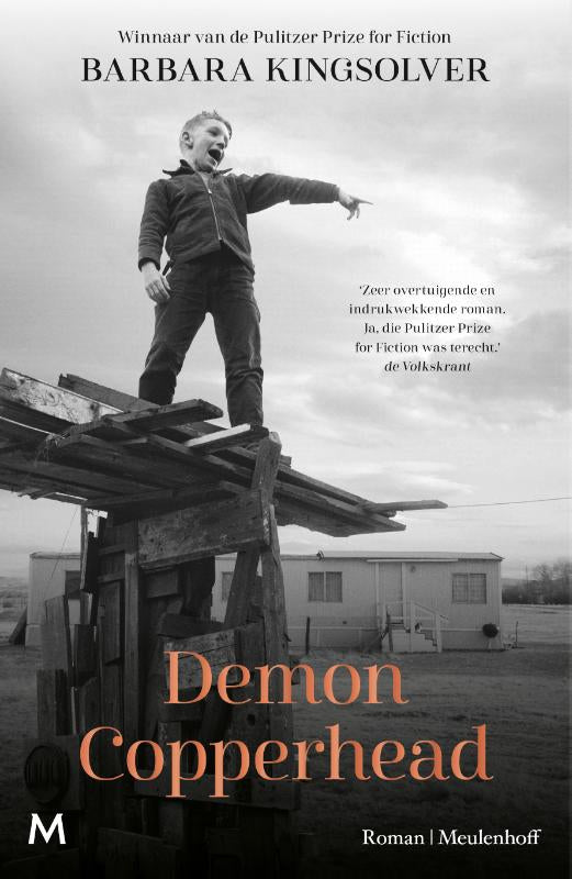 Demon-Copperhead-boek-cover-9789029098656