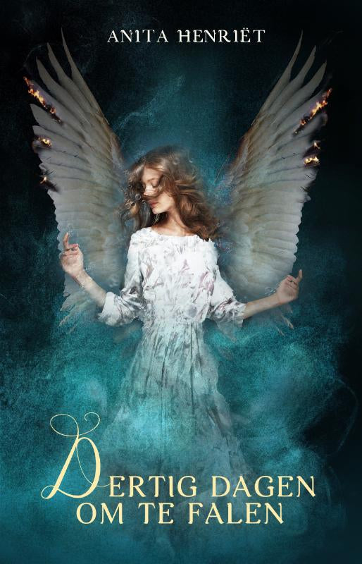 Dertig-dagen-om-te-falen-boek-cover-9789493157286