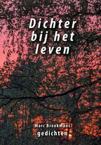Dichter-bij-het-leven-boek-cover-9789462473683