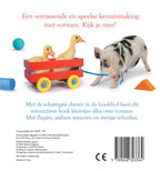 Dieren-Vormen-flaptekst-9789048323364
