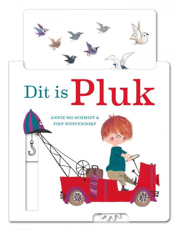 Dit-is-Pluk-boek-cover-9789045132136