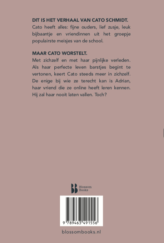 Dit-is-hoe-het-ging-flaptekst-9789463491556