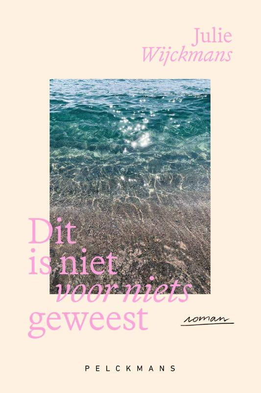 Dit-is-niet-voor-niets-geweest-boek-cover-9789462349353