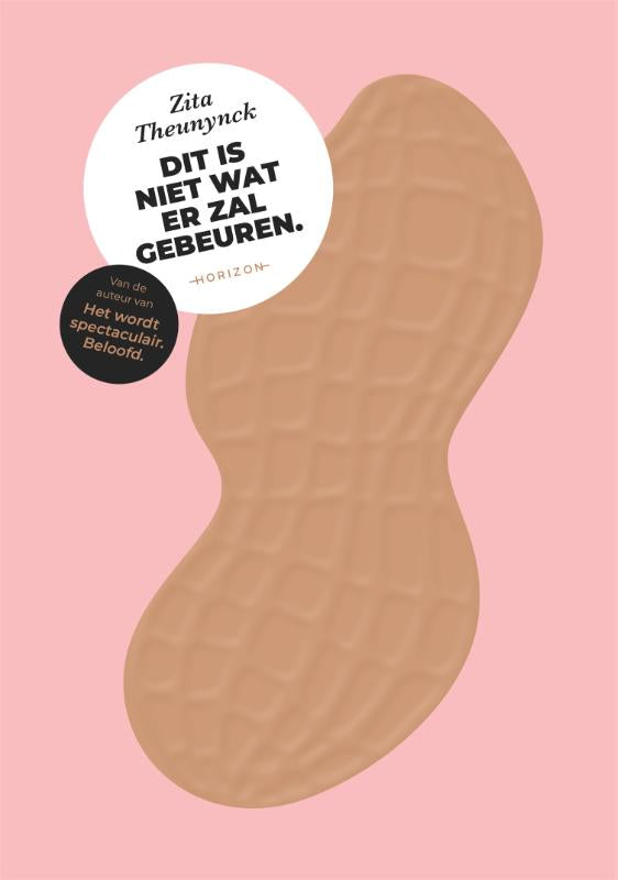 Dit-is-niet-wat-er-zal-gebeuren-boek-cover-9789492958075