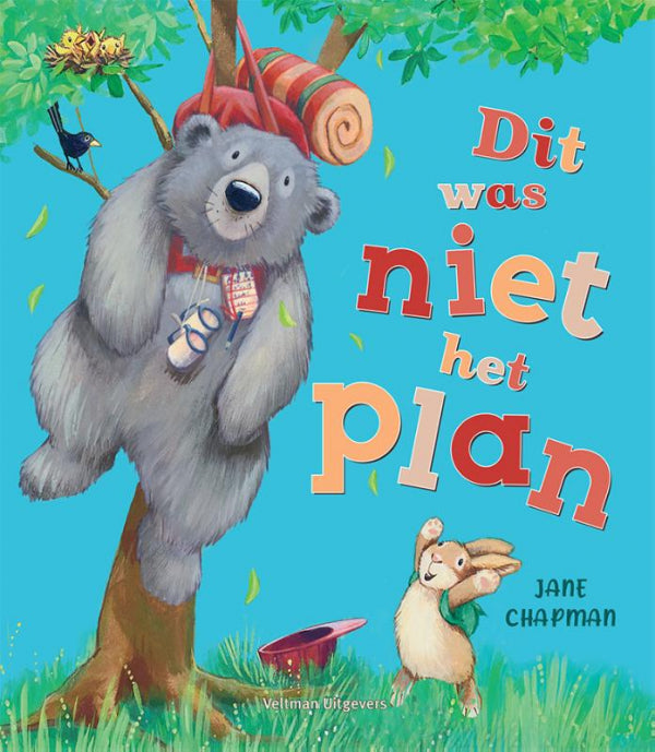 Dit-was-niet-het-plan-boek-cover-9789048322909