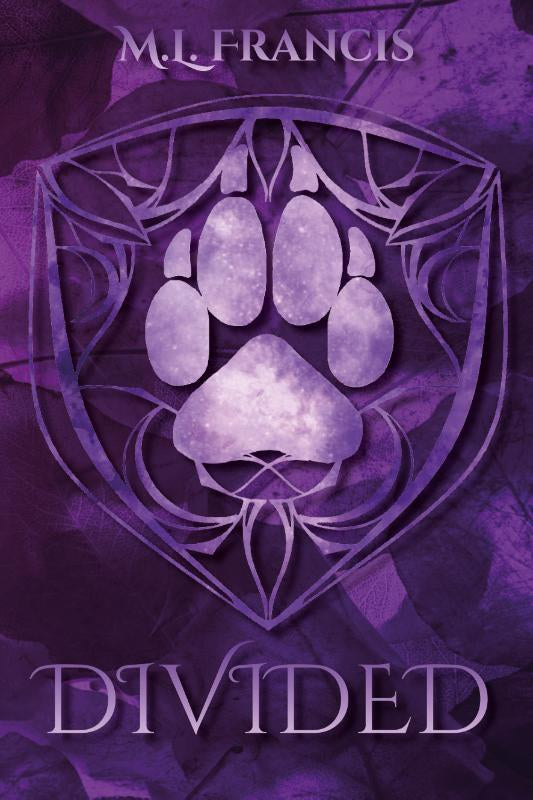 Divided-boek-cover-9789464597288