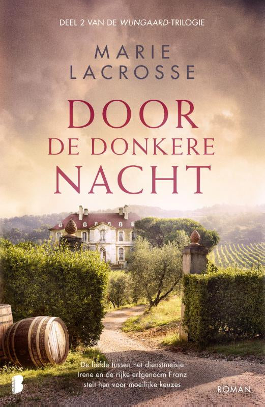Door de donkere nacht