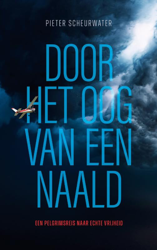 Door-het-oog-van-een-naald-boek-cover-9789083439419