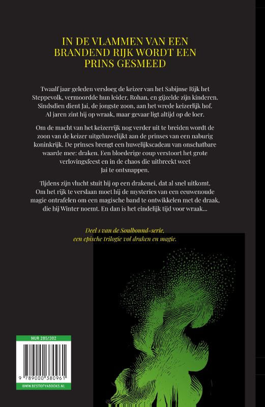 Drakenrijder-flaptekst-9789000380961