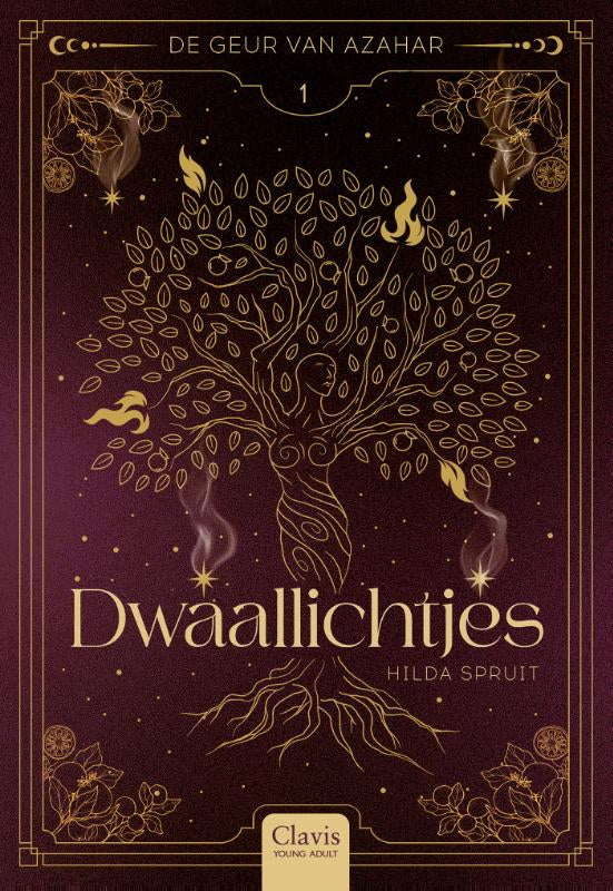 Dwaallichtjes-boek-cover-9789044857801