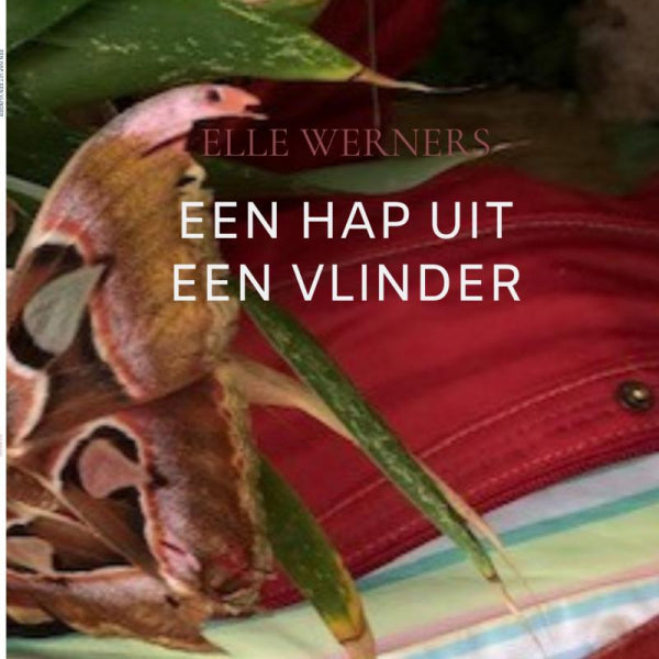 EEN-HAP-UIT-EEN-VLINDER-boek-cover-9789403844459