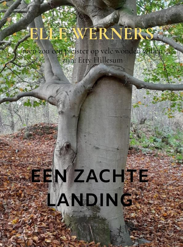 EEN-ZACHTE-LANDING-boek-cover-9789403826943
