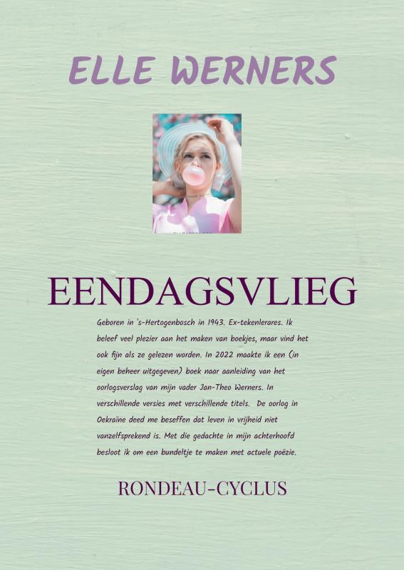 EENDAGSVLIEG-II-boek-cover-9789403743318
