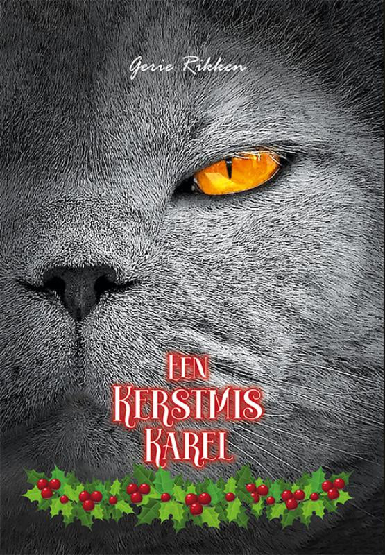 Een-Kerstmis-Karel-boek-cover-9789493299436