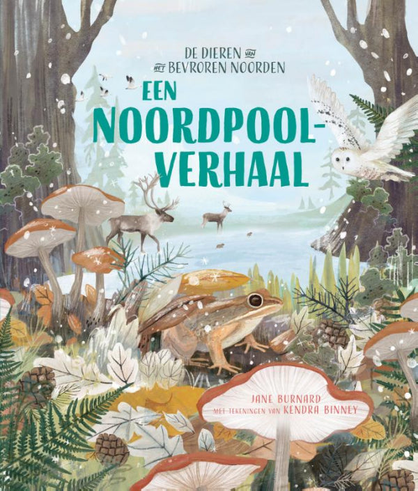 Een-Noordpoolverhaal-boek-cover-9789047715771