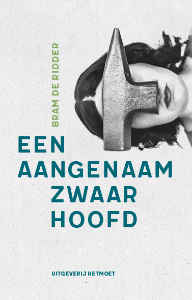 Een-aangenaam-zwaar-hoofd-boek-cover-9789083384108