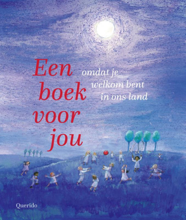 Een-boek-voor-jou-Nederlands-boek-cover-9789045129228